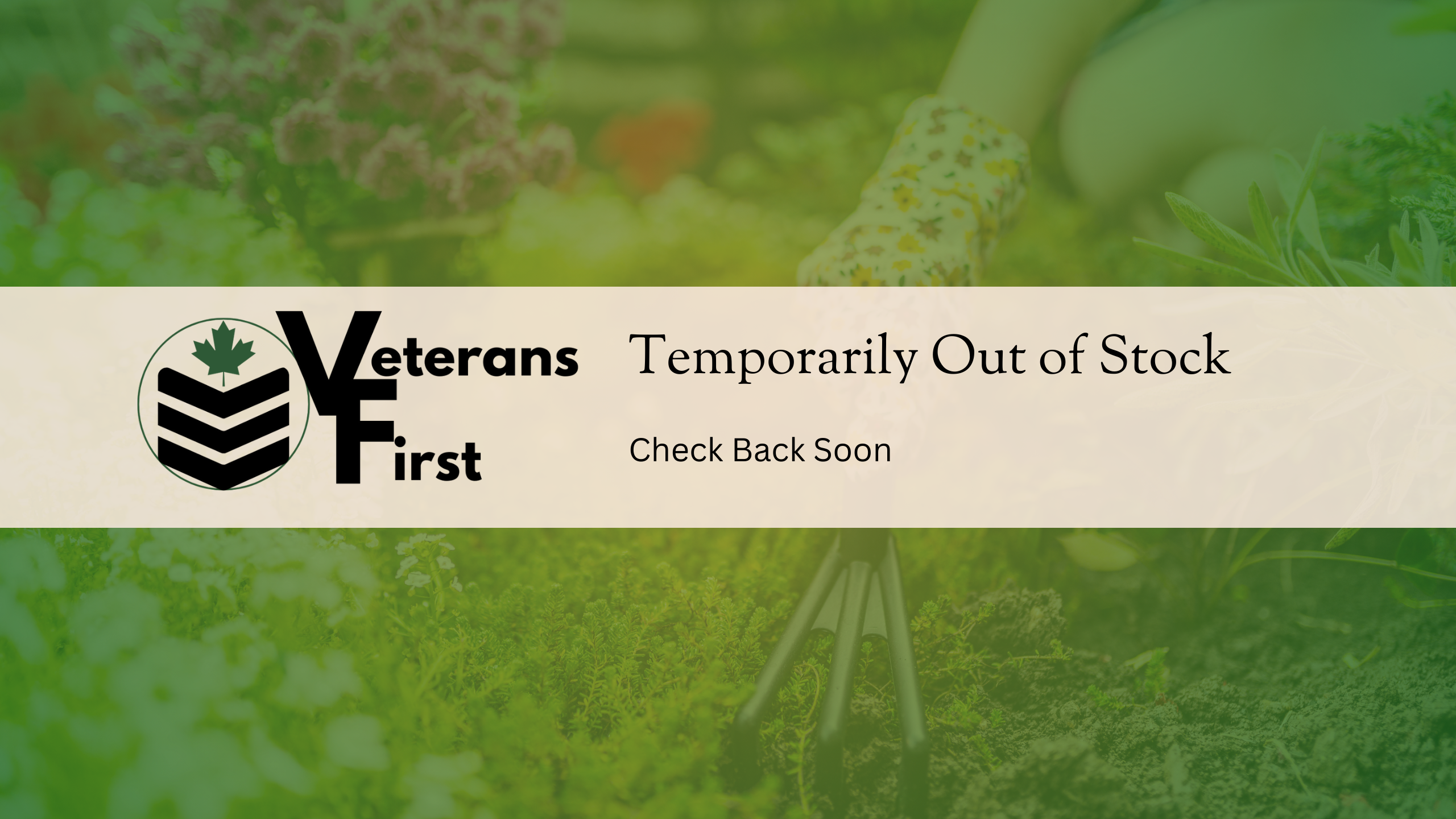 Mary Jane's CBD Blueberry Jam - 50g