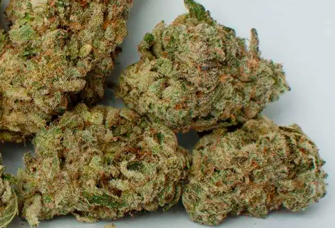 Black Out Bobby - 10g - Indica