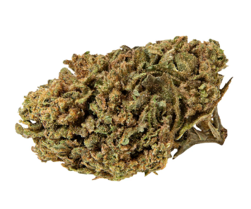 Abide Premium 3.5g CBD Dried Flower