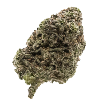 Jungle Fumes - 10g - Sativa